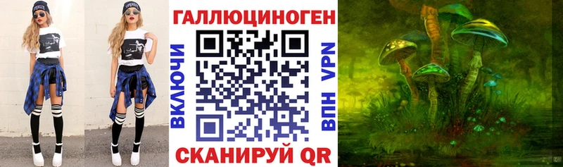 Галлюциногенные грибы мицелий  купить наркоту  гидра зеркало  Хадыженск 