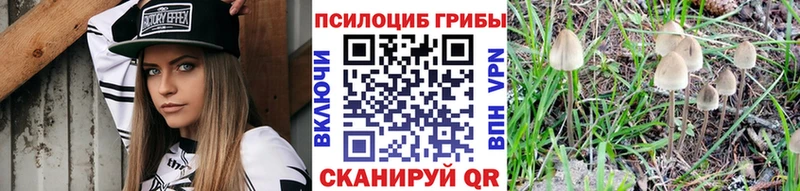 Псилоцибиновые грибы MAGIC MUSHROOMS Хадыженск